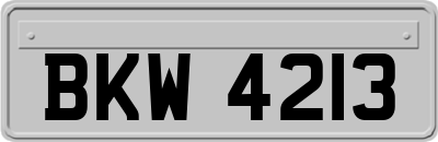 BKW4213