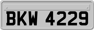 BKW4229