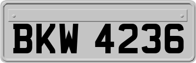 BKW4236