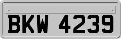 BKW4239
