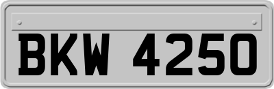 BKW4250