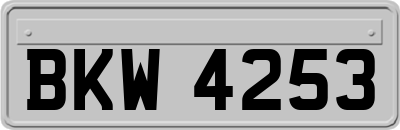 BKW4253