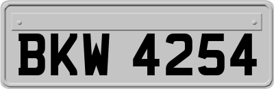 BKW4254