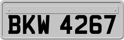 BKW4267