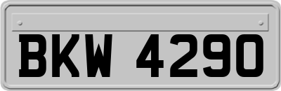 BKW4290