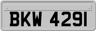 BKW4291