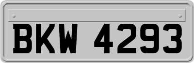 BKW4293