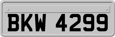 BKW4299