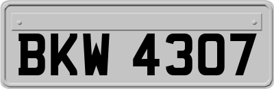 BKW4307
