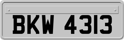 BKW4313
