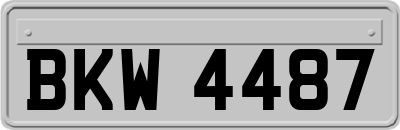BKW4487