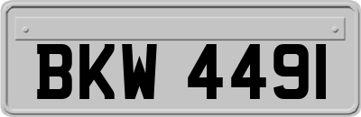BKW4491