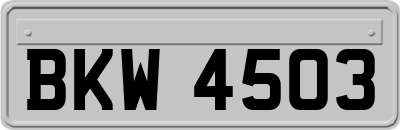 BKW4503