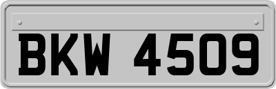 BKW4509