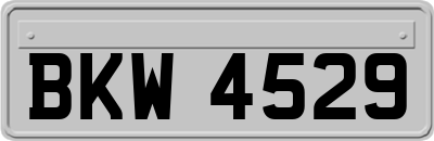 BKW4529