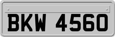 BKW4560