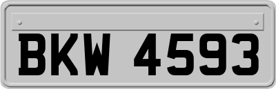 BKW4593