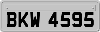BKW4595