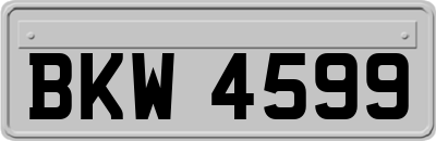 BKW4599