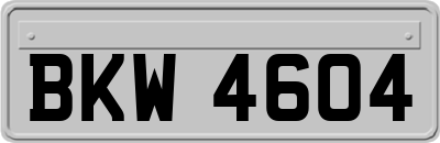 BKW4604