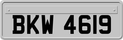 BKW4619