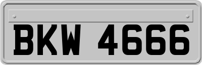 BKW4666