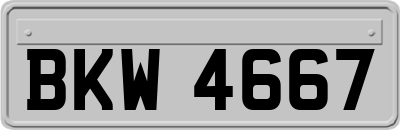 BKW4667