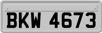 BKW4673