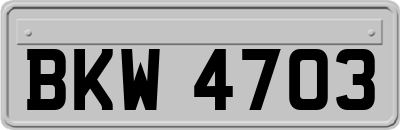 BKW4703