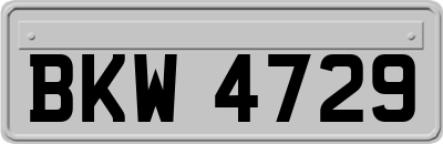 BKW4729