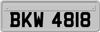 BKW4818