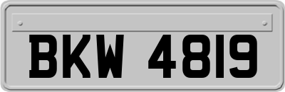 BKW4819