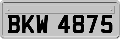 BKW4875