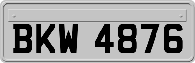 BKW4876