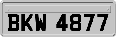 BKW4877