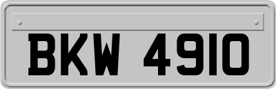 BKW4910
