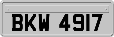 BKW4917