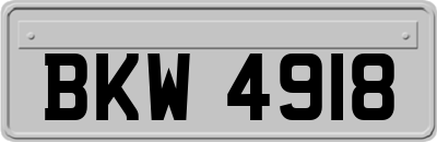 BKW4918