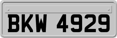 BKW4929