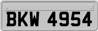 BKW4954