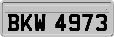 BKW4973