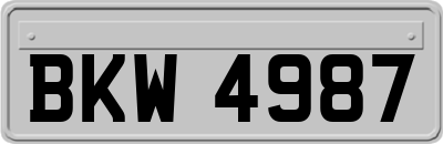 BKW4987