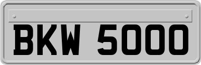 BKW5000