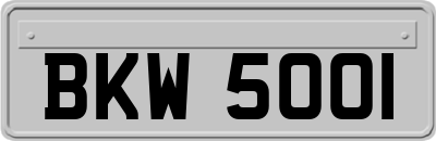 BKW5001