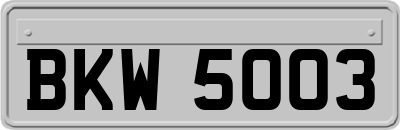 BKW5003