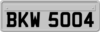 BKW5004