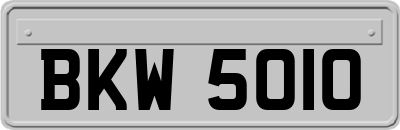 BKW5010