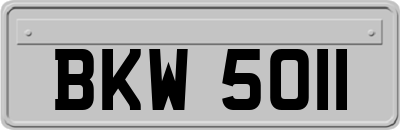 BKW5011
