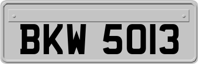 BKW5013