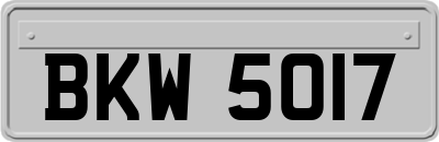 BKW5017